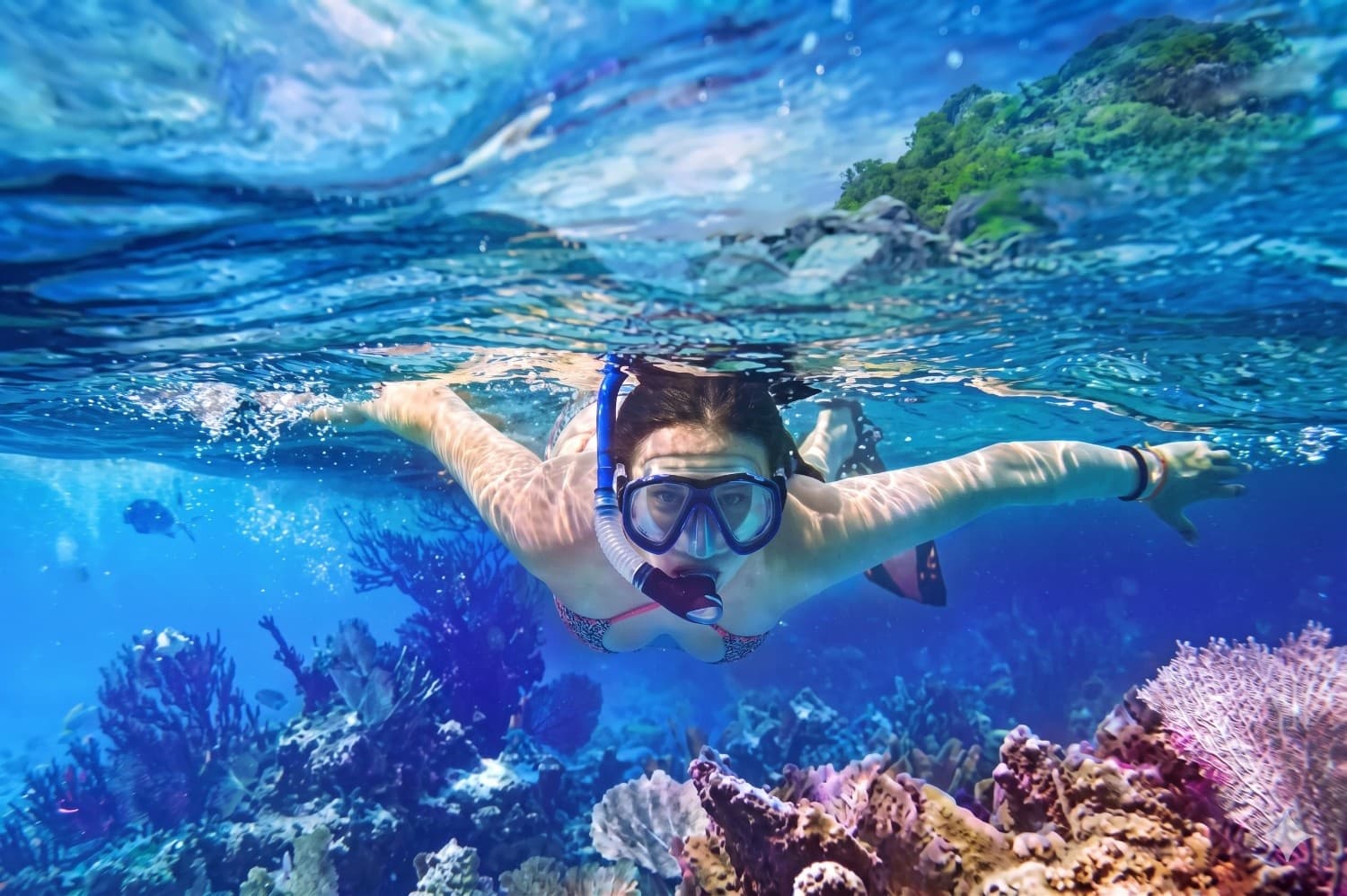 Snorkeling Trips & Boat Tours excursions in Hurghada Red Sea - 1